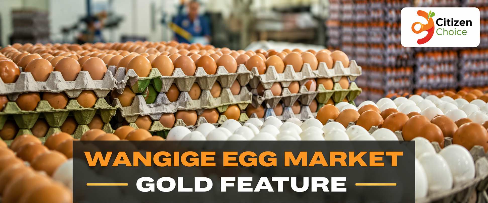 Wangige Market cover