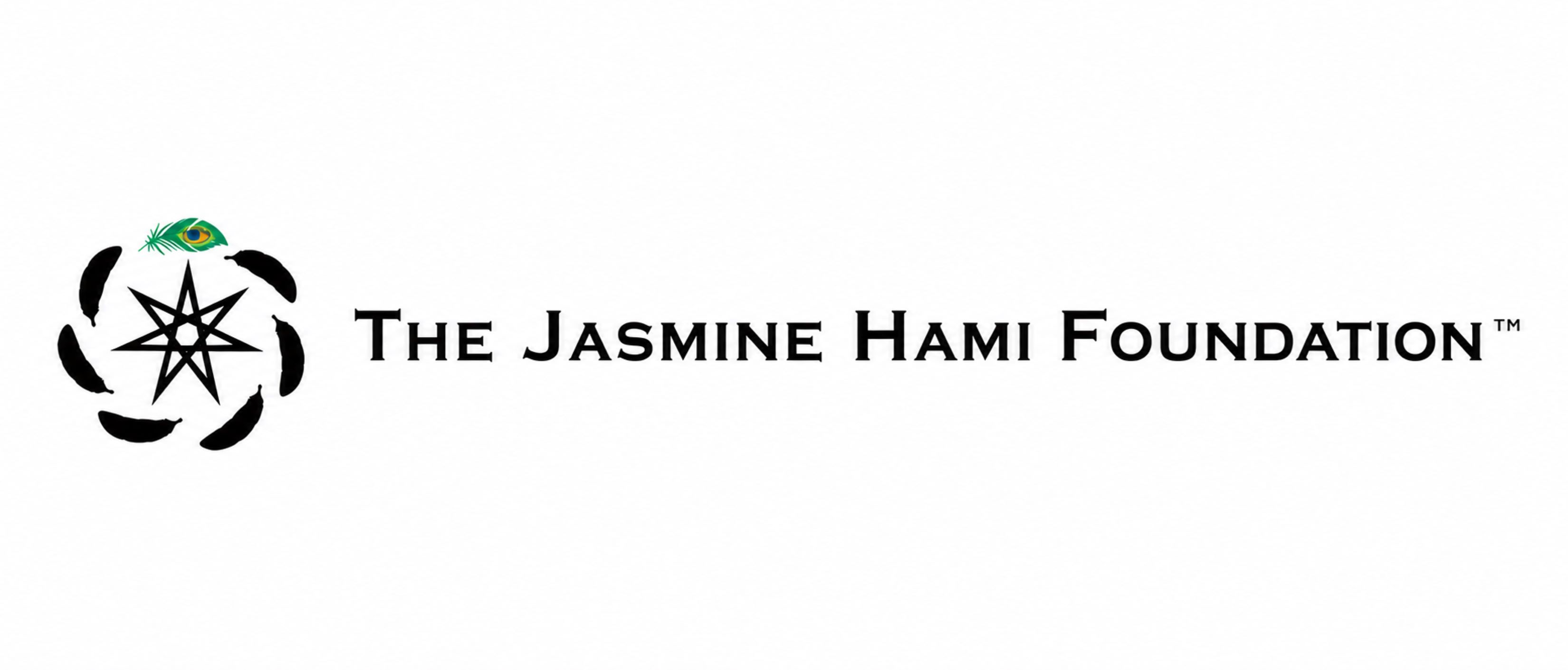 The Jasmine Hami Foundation	 cover