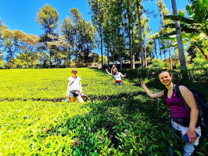 Brew It image 1