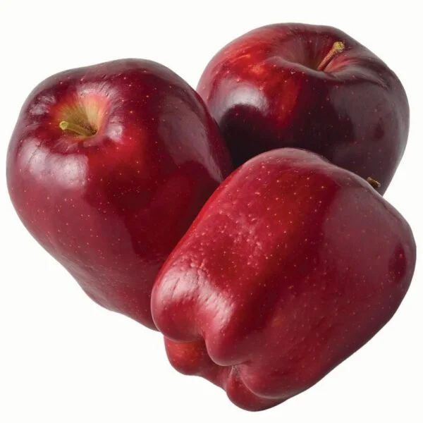 Sunfresh Organics image 2