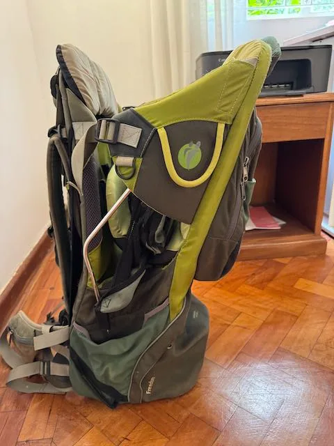 LittleLife Child Backpack Carrier – Green/Grey