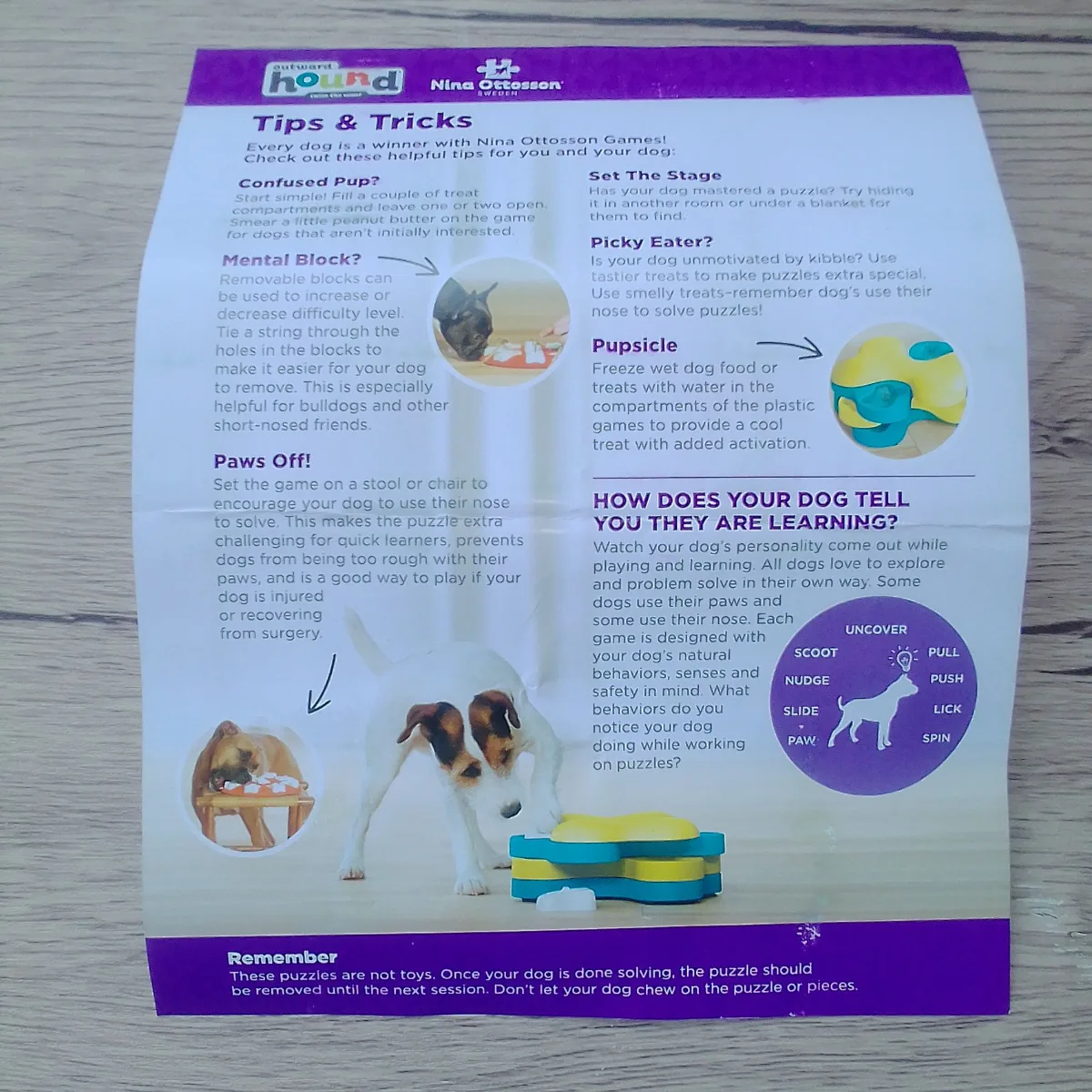 Dog Puzzle 3