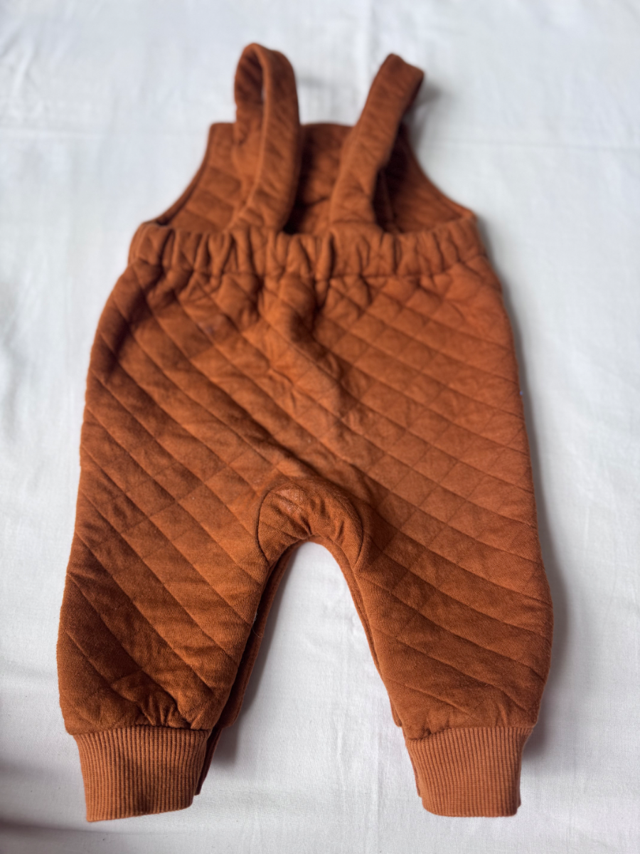 🦥 Cute Brown Sloth Baby Dungaree 2