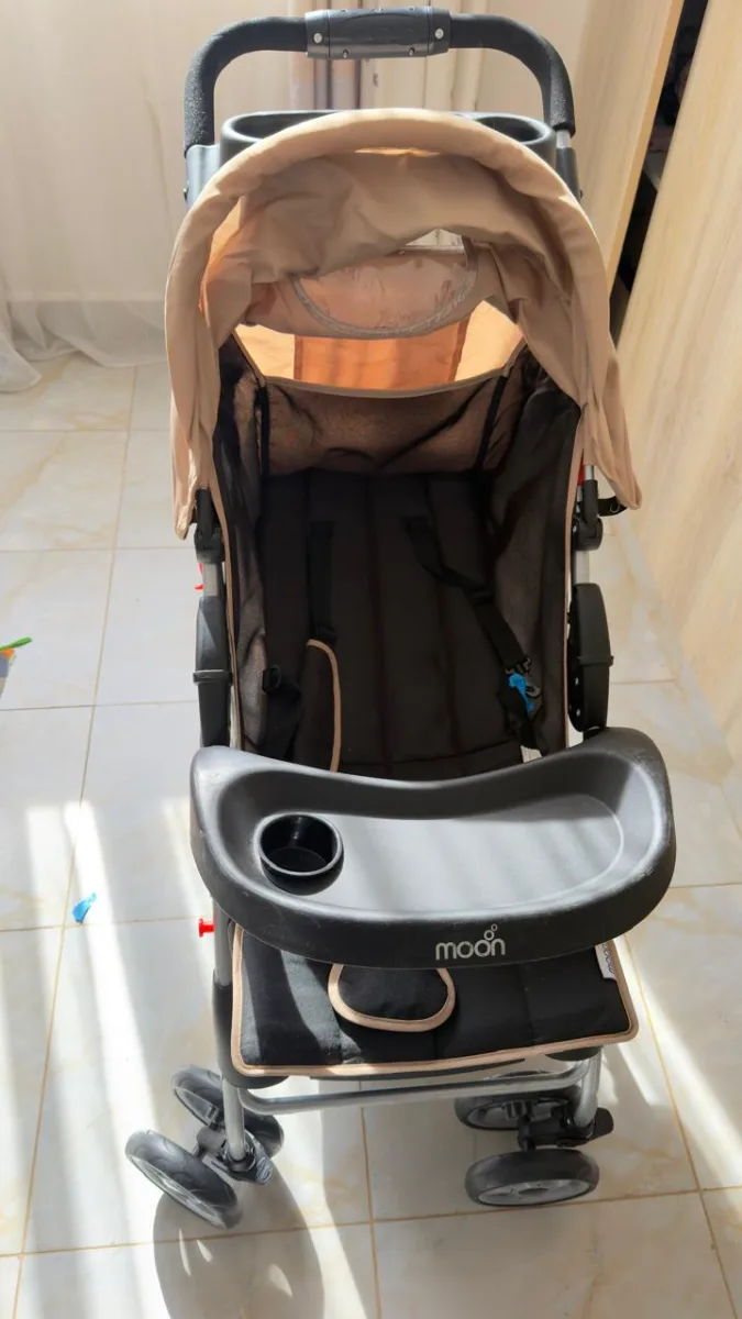 Moon buggy stroller 1