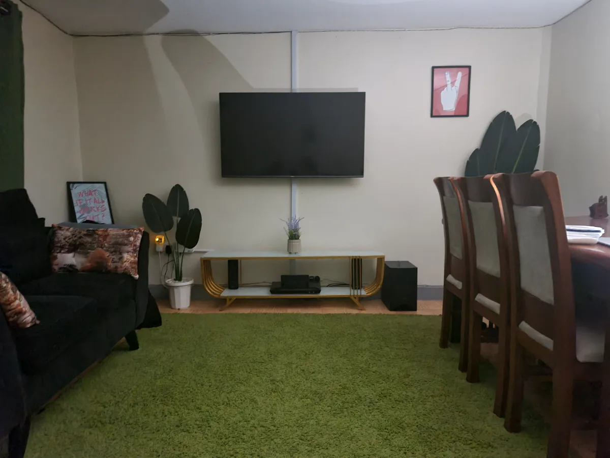Large Green Shaggy Rug/ Carpet 1