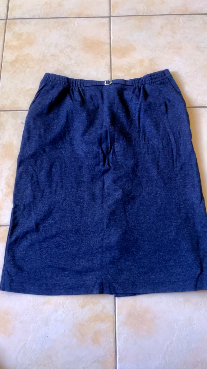 Ladies short skirt 1