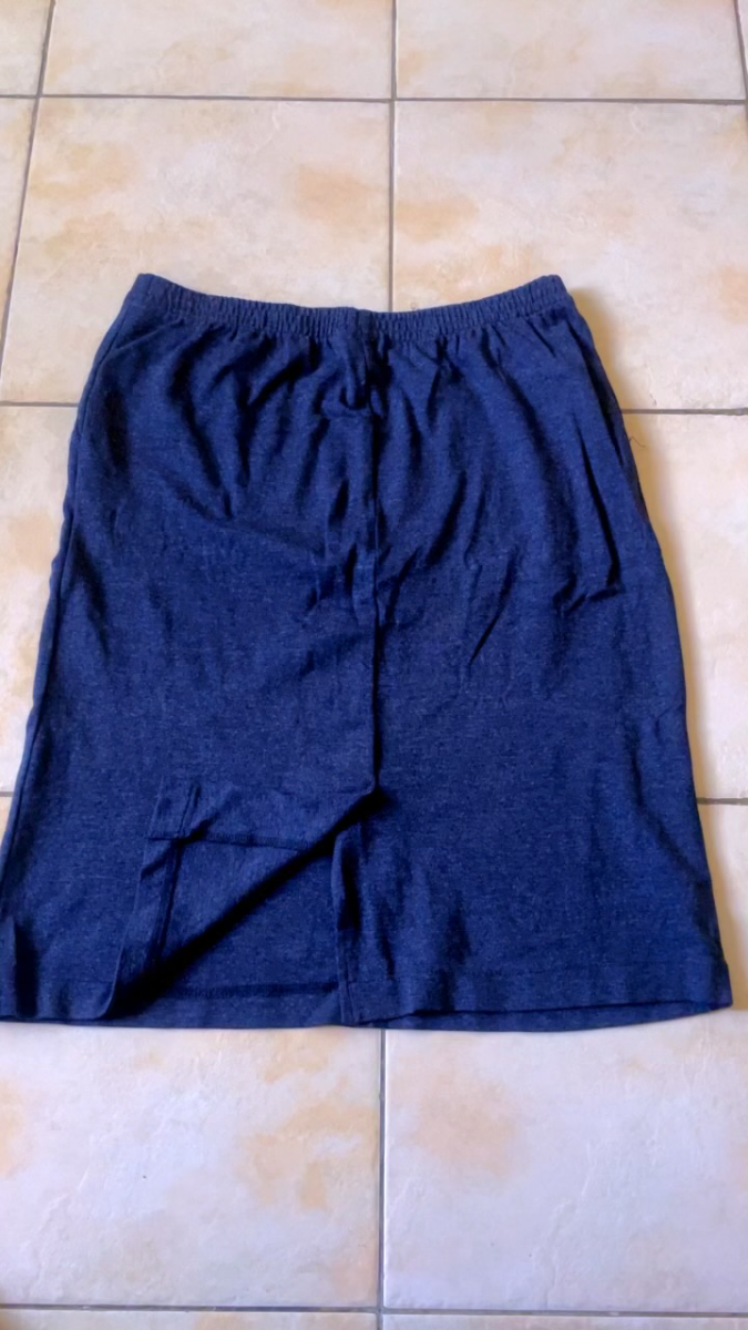 Ladies short skirt 2