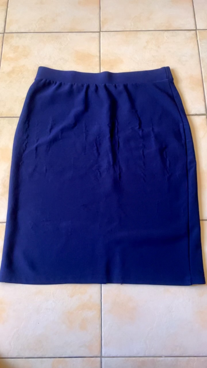 Ladies short skirt 1
