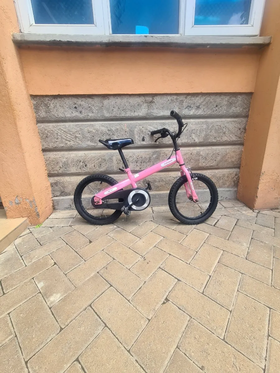 Size 18 Trinx kids bike 2