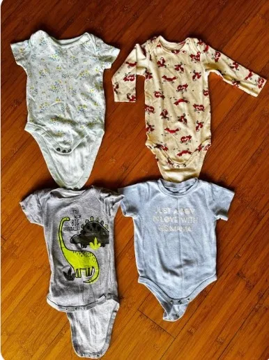 Assorted Baby Bodysuits (4-Pack, 6/9m) 1