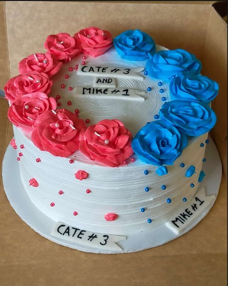 2 in 1 Vanilla & Blueberry Birthday Cake