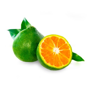 Local - Fresh Tangerine