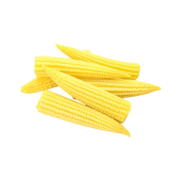 Garden - Fresh Baby Corn