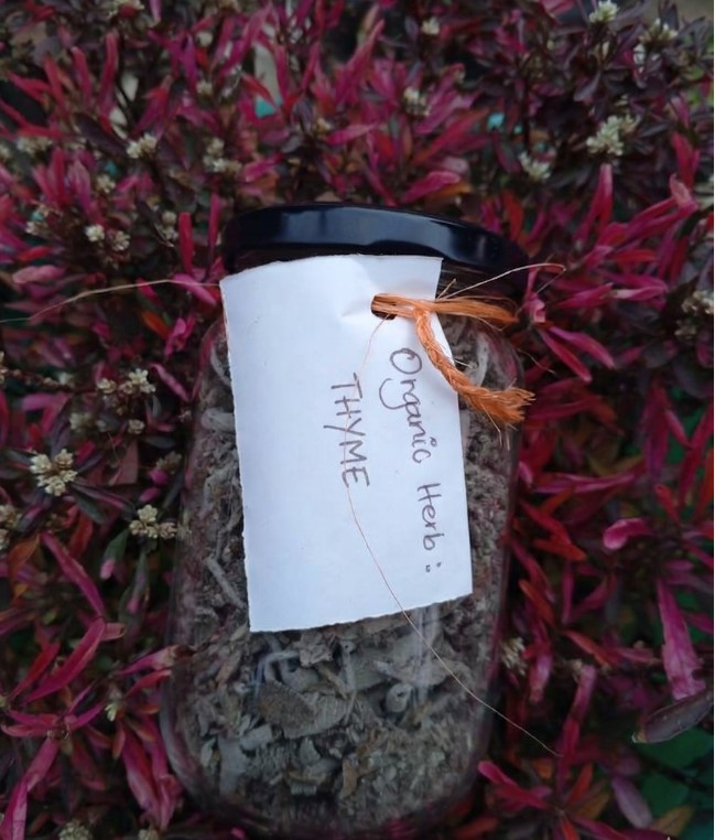 Dried Thyme