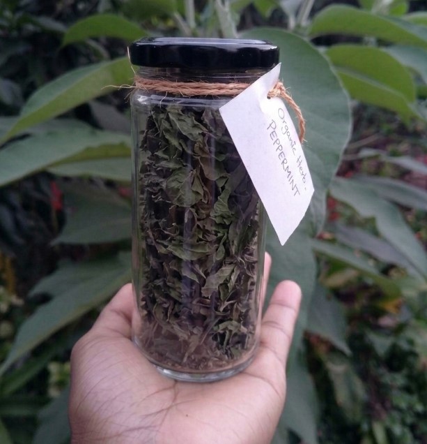 Dried Peppermint