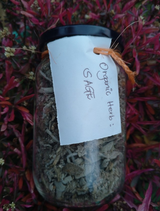 Dried Sage