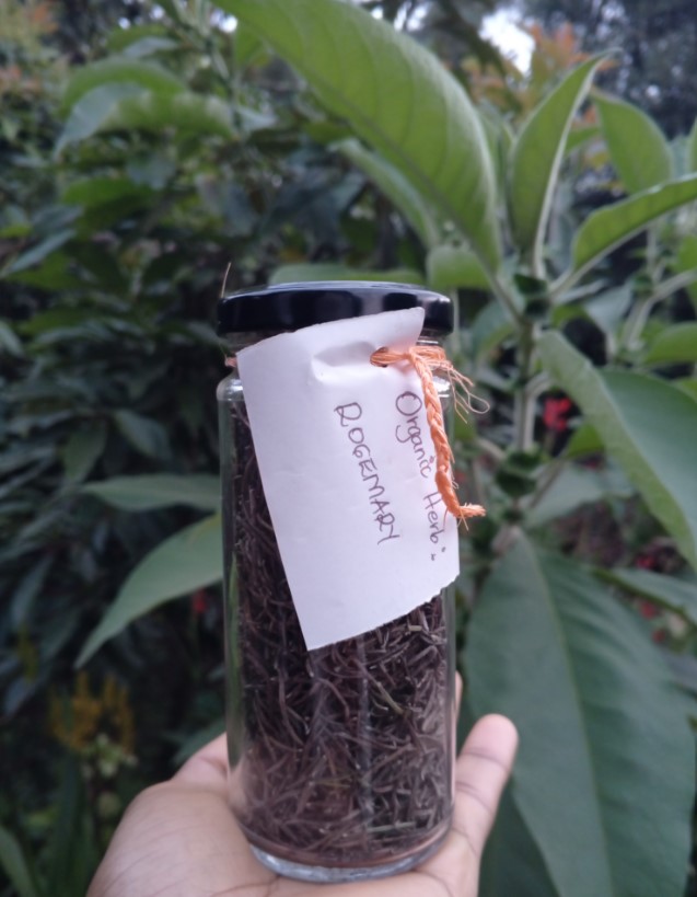Dried Rosemary