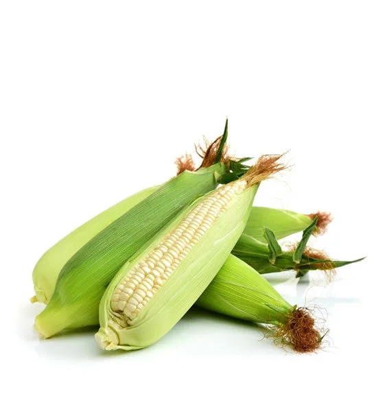Fresh Maize on Cob