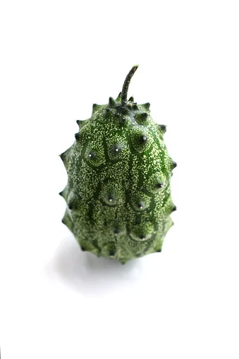 Thorn Melon