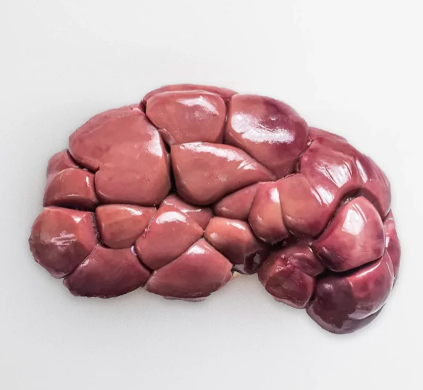 500g Kidney