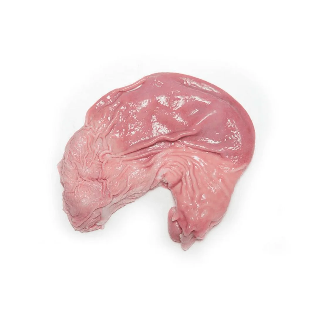 Pork Stomach