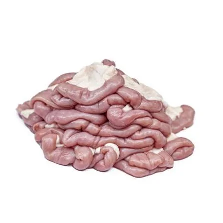 Pork Intestines