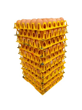 Mixed Sizes Eggs-10Trays