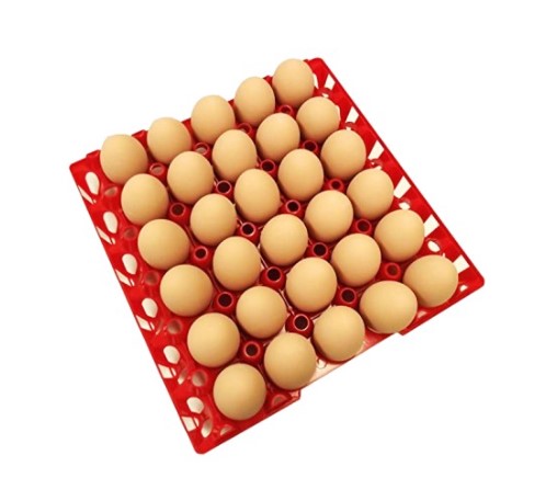Farm Fresh Eggs {Mixed Sizes} - Tray excluded