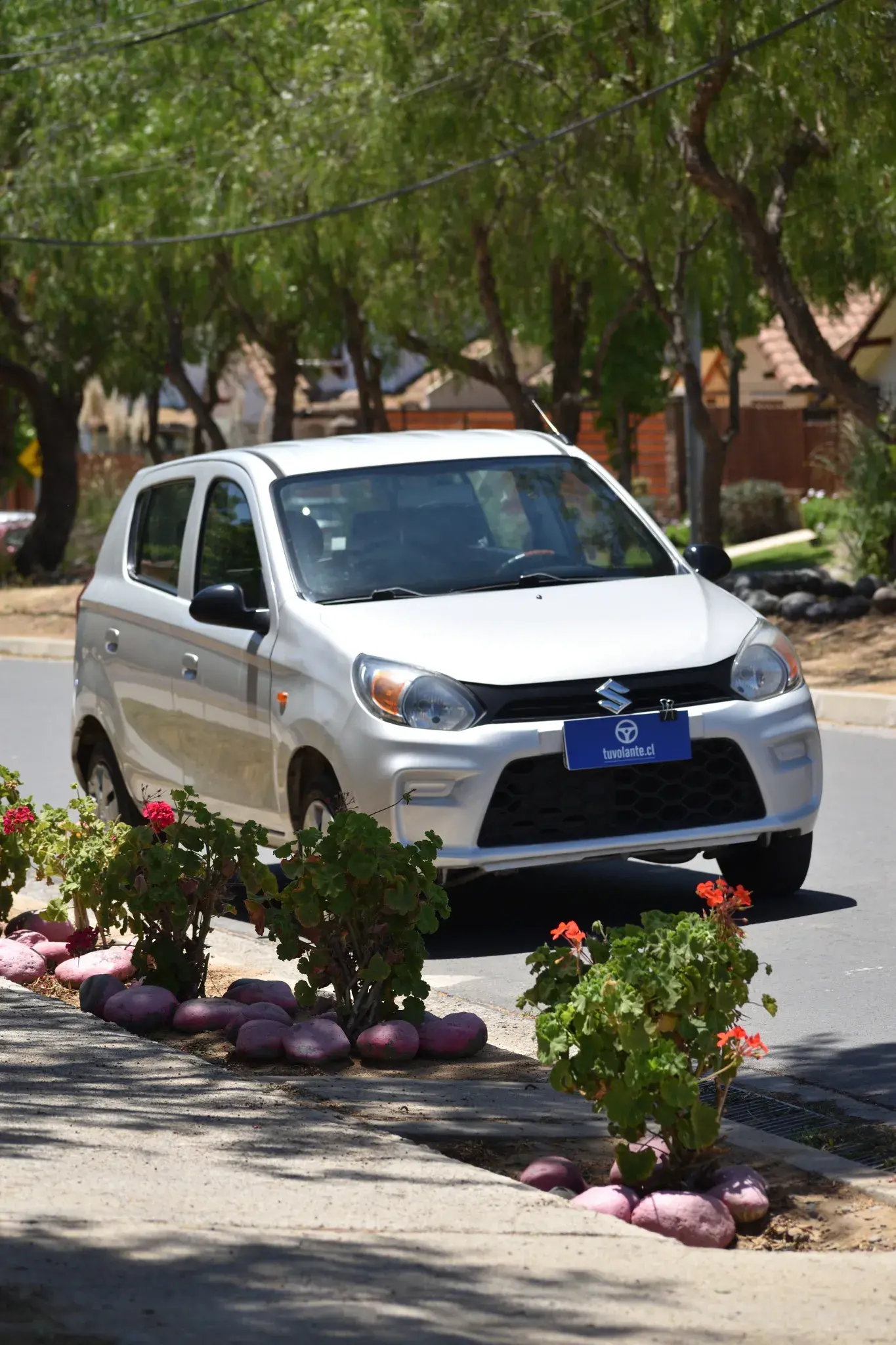 Suzuki Alto GLX 2022 — foto 10