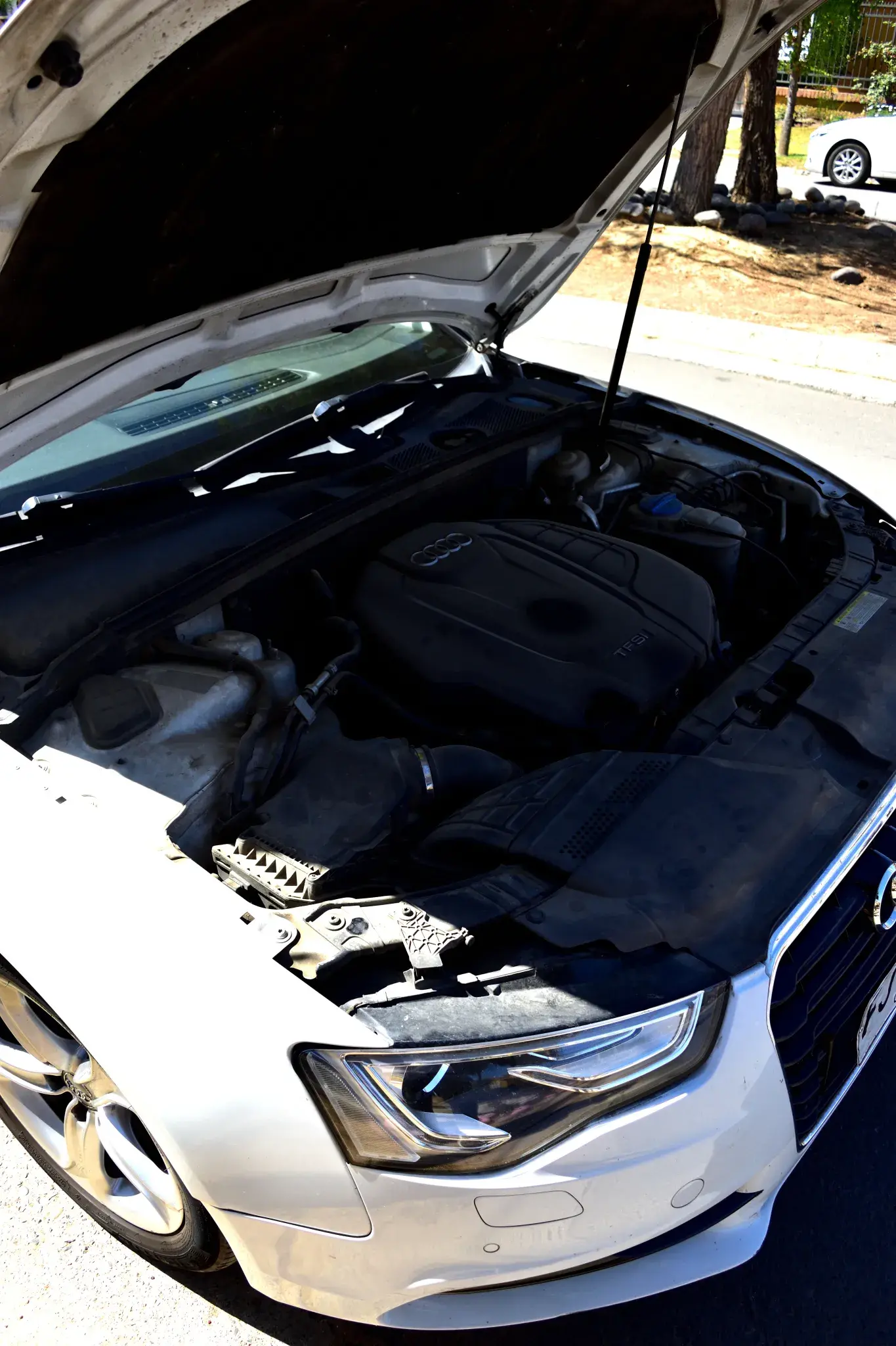 Foto de Audi A5