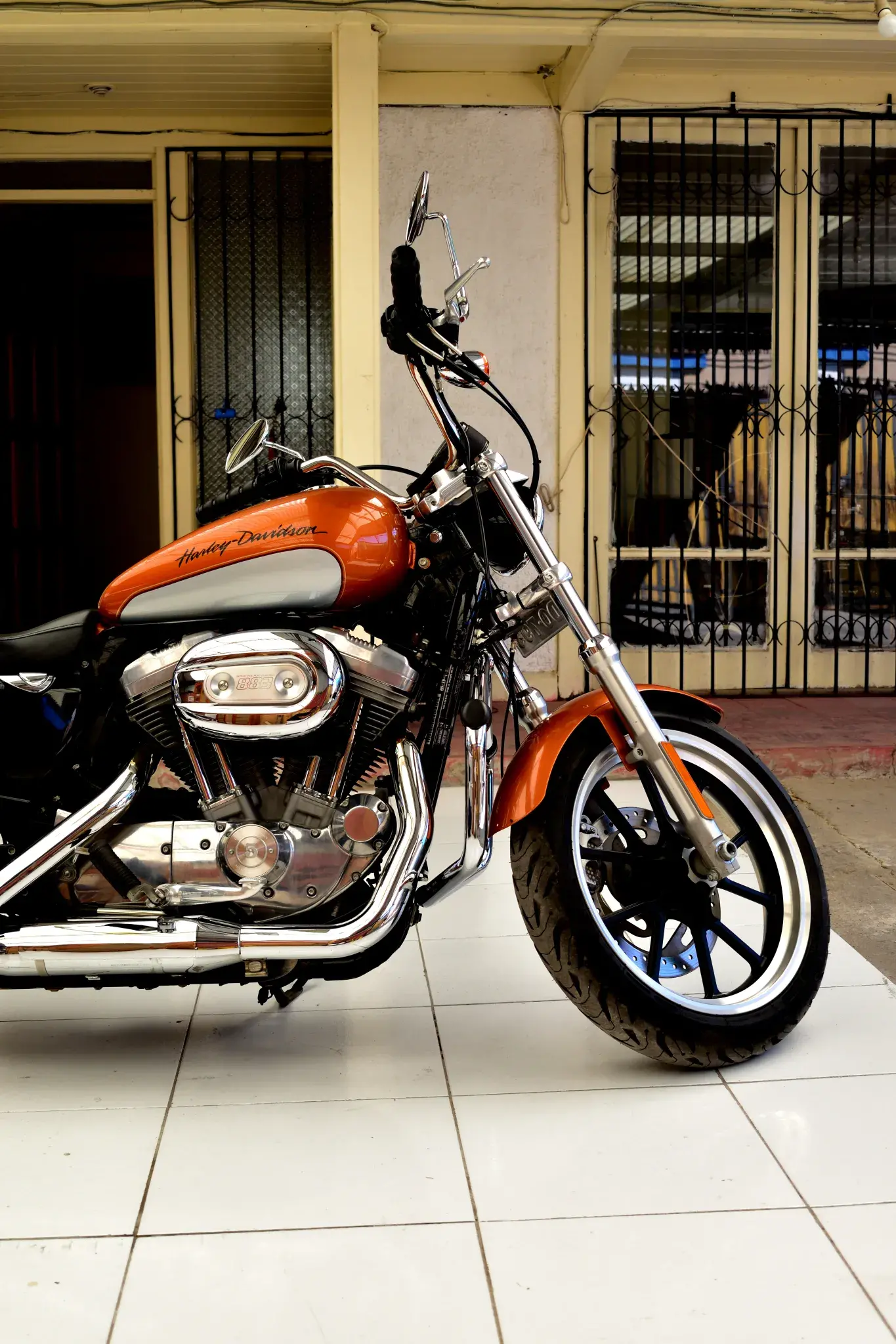 Foto de Harley Davidson Sporter XL 883