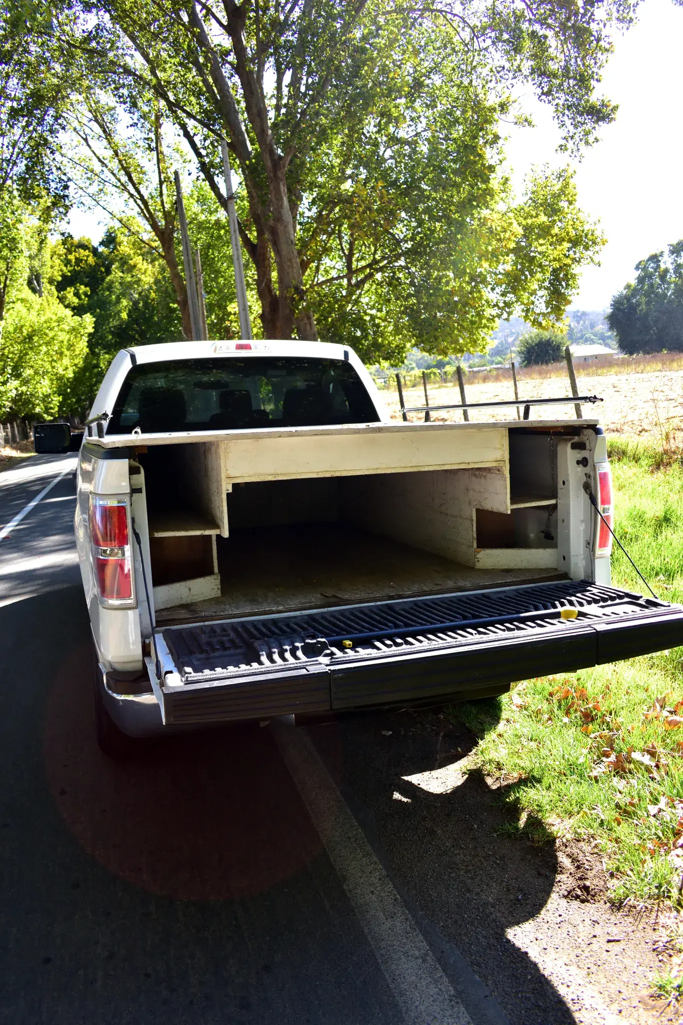 Foto de Ford F150 - 4X2 3.6