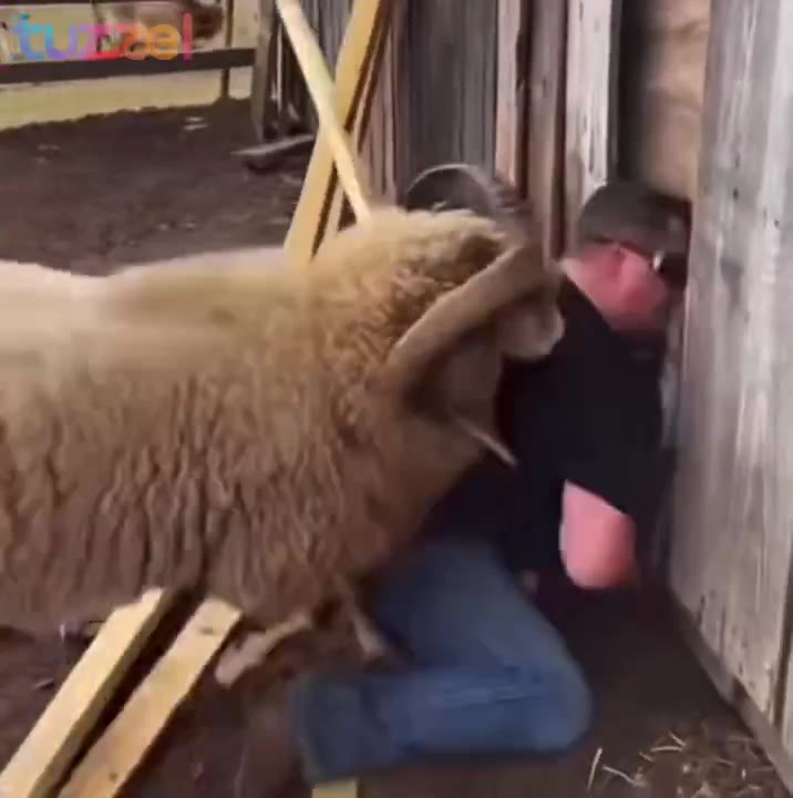 Post by Real Videos