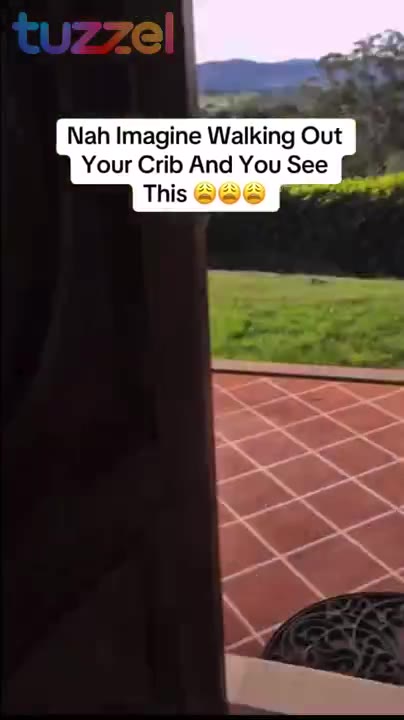Post by Real Videos