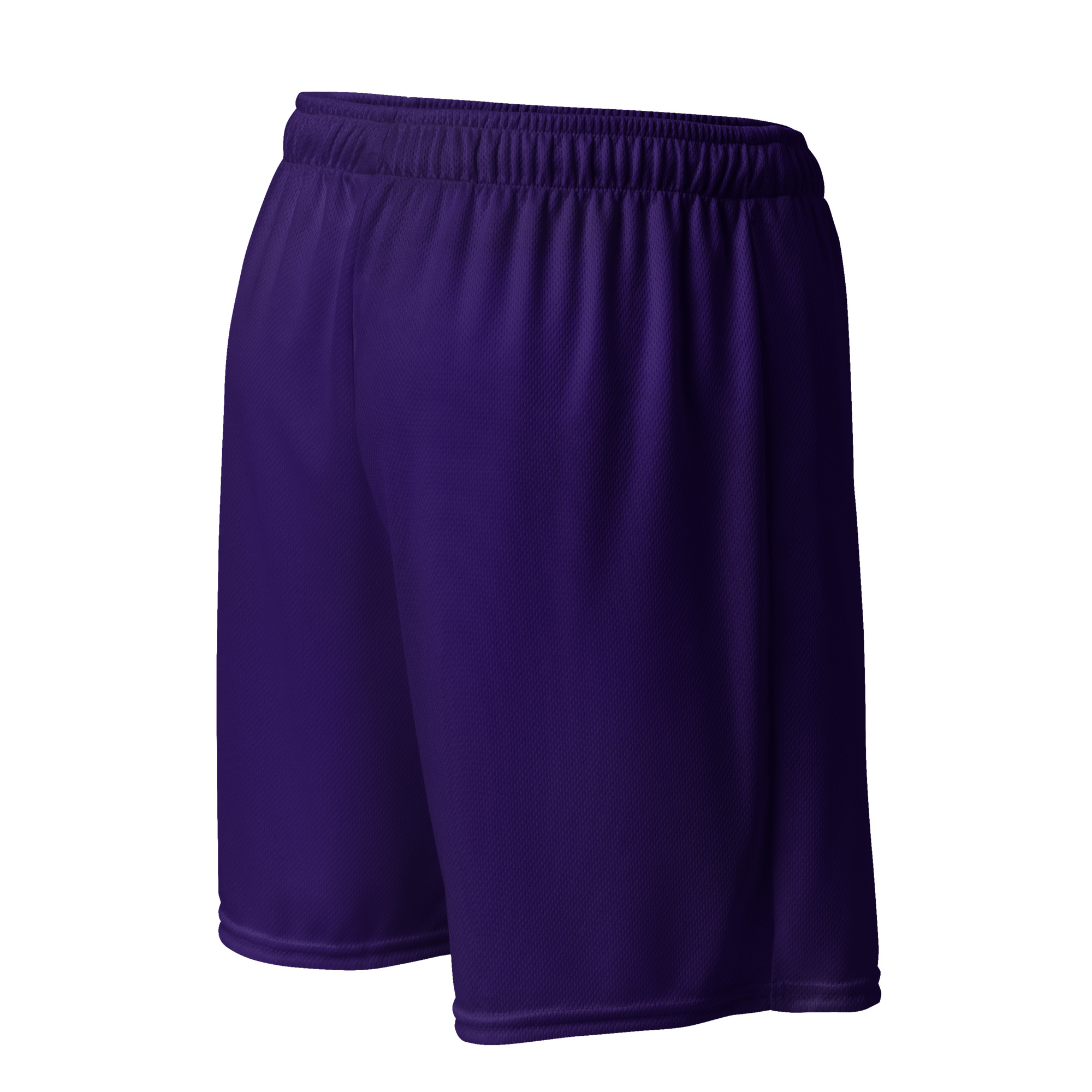 Kicxs Unisex Mesh Shorts - Purple 2