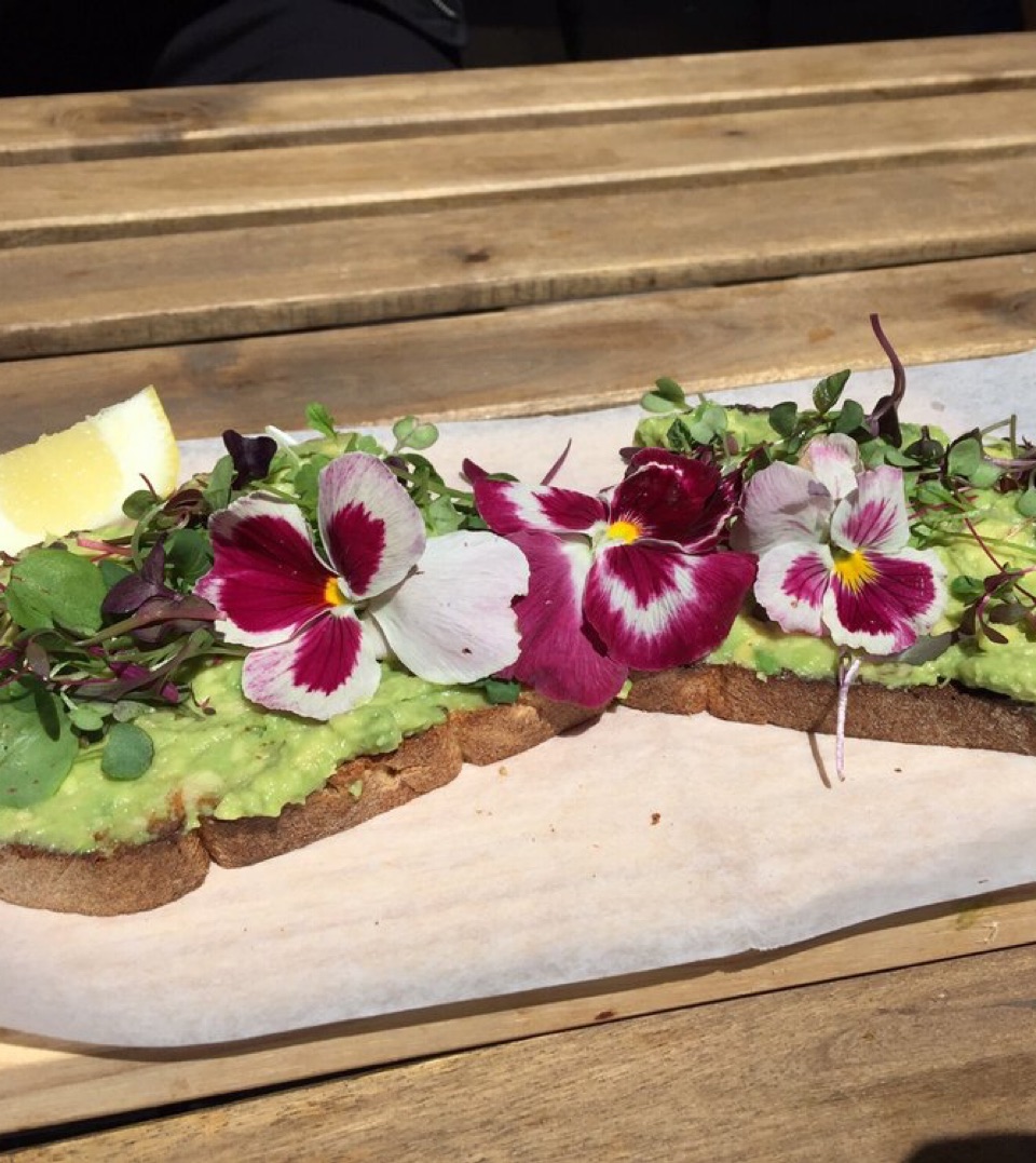 Thumbnail of Quaint little joint in the neighbor hood that specializes in avocado toast, acai bowls and coffee drinks.