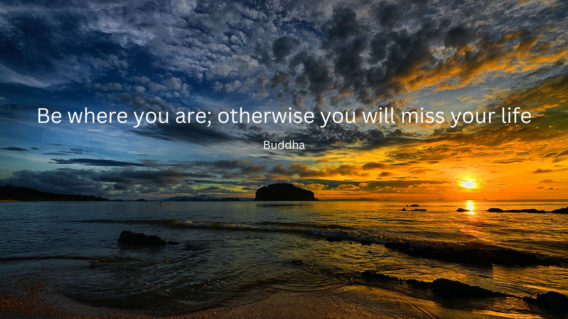 Karina McCormack 🚢