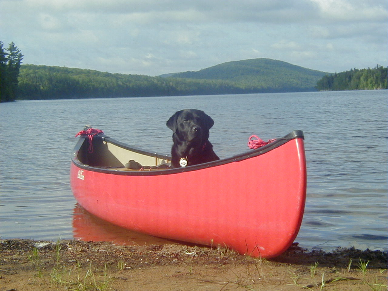 @ErichAngermayr 🚢⚓