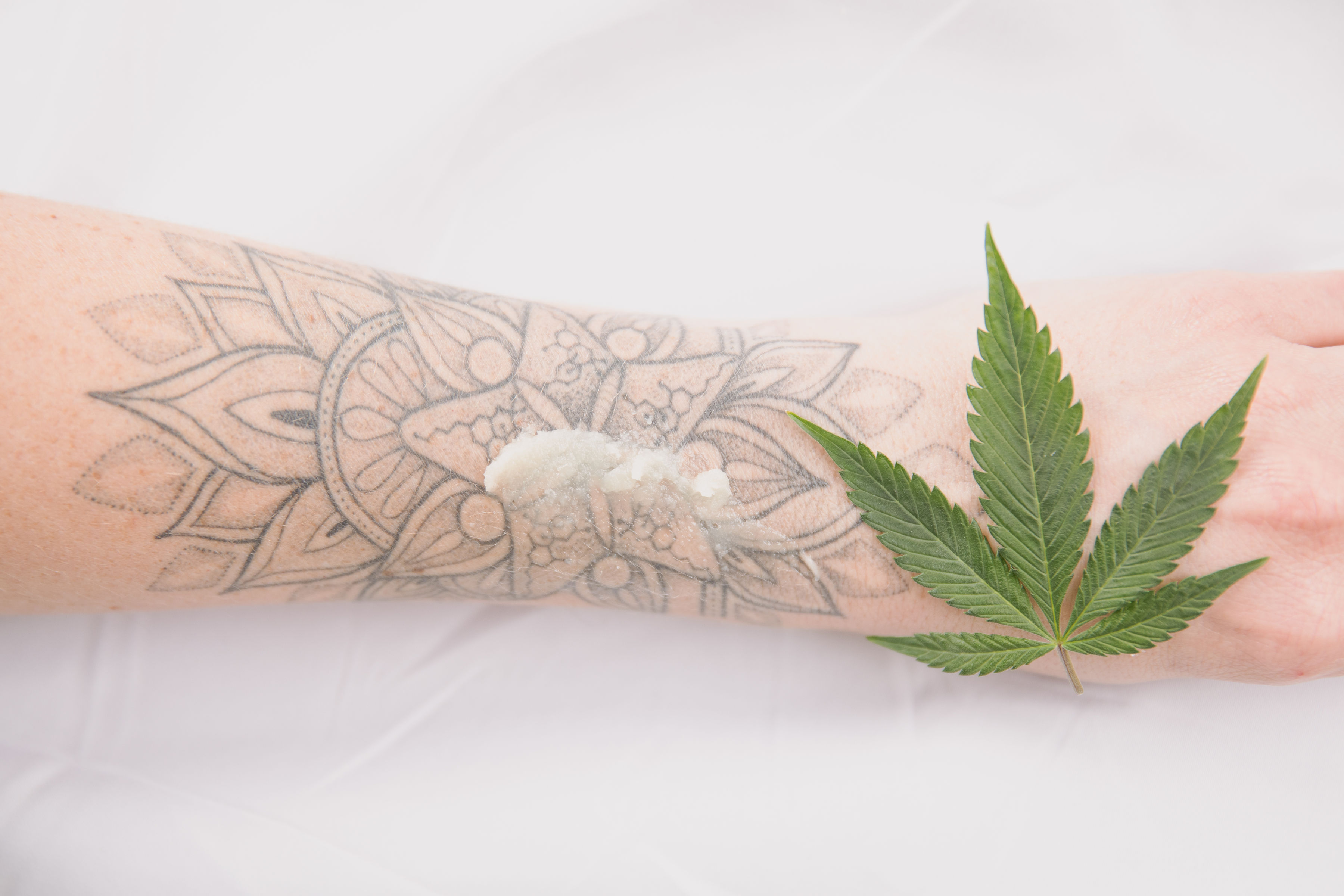 Primal Therapeutics 🚢 🌱 💆‍♀️