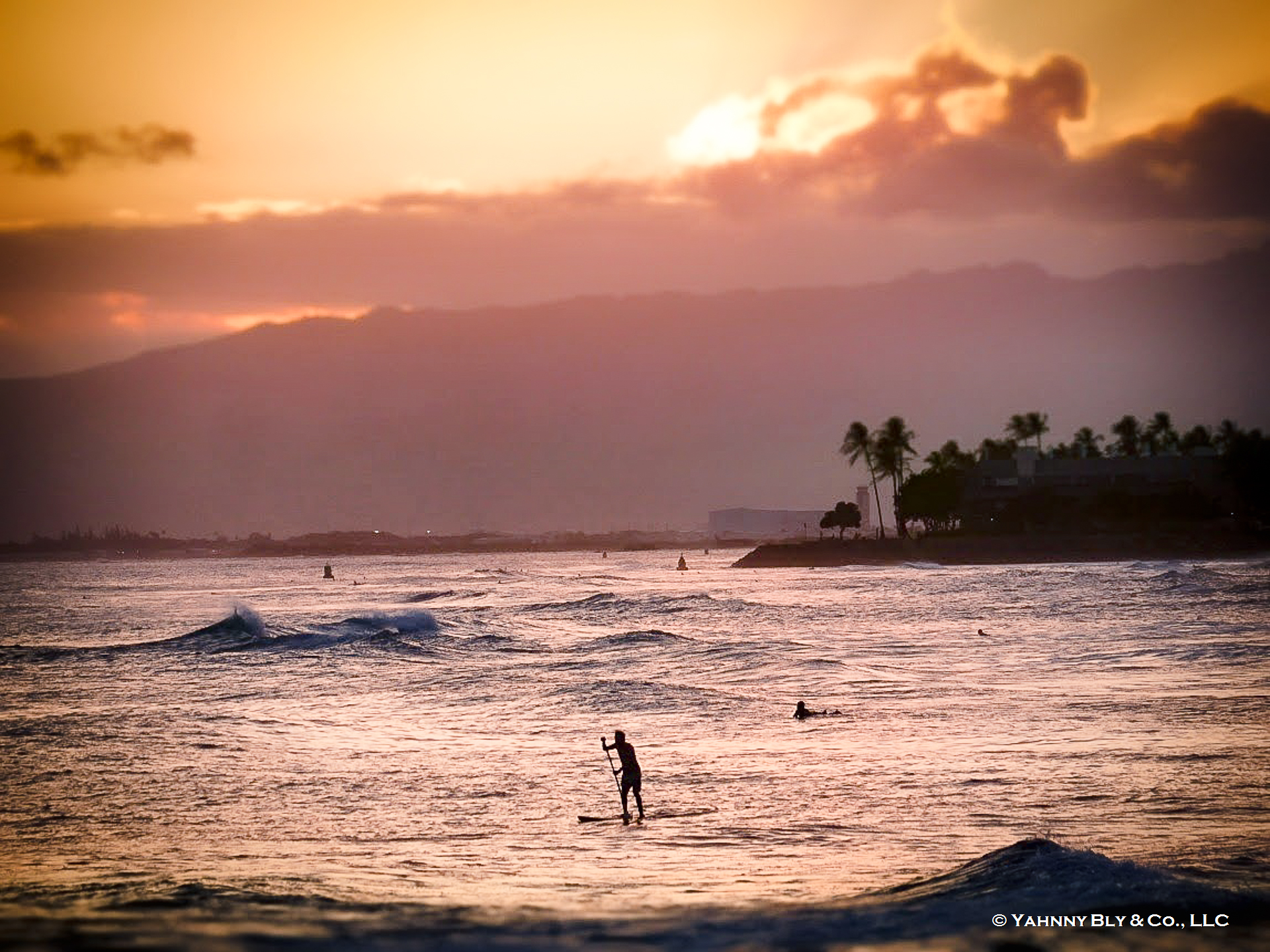 Yahnny Adolfo San Luis-Wallgren