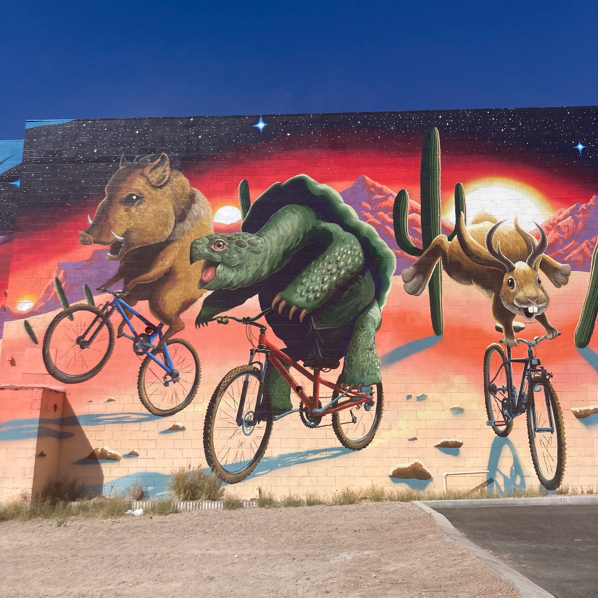 CitrustPebbles 🍊 🚢