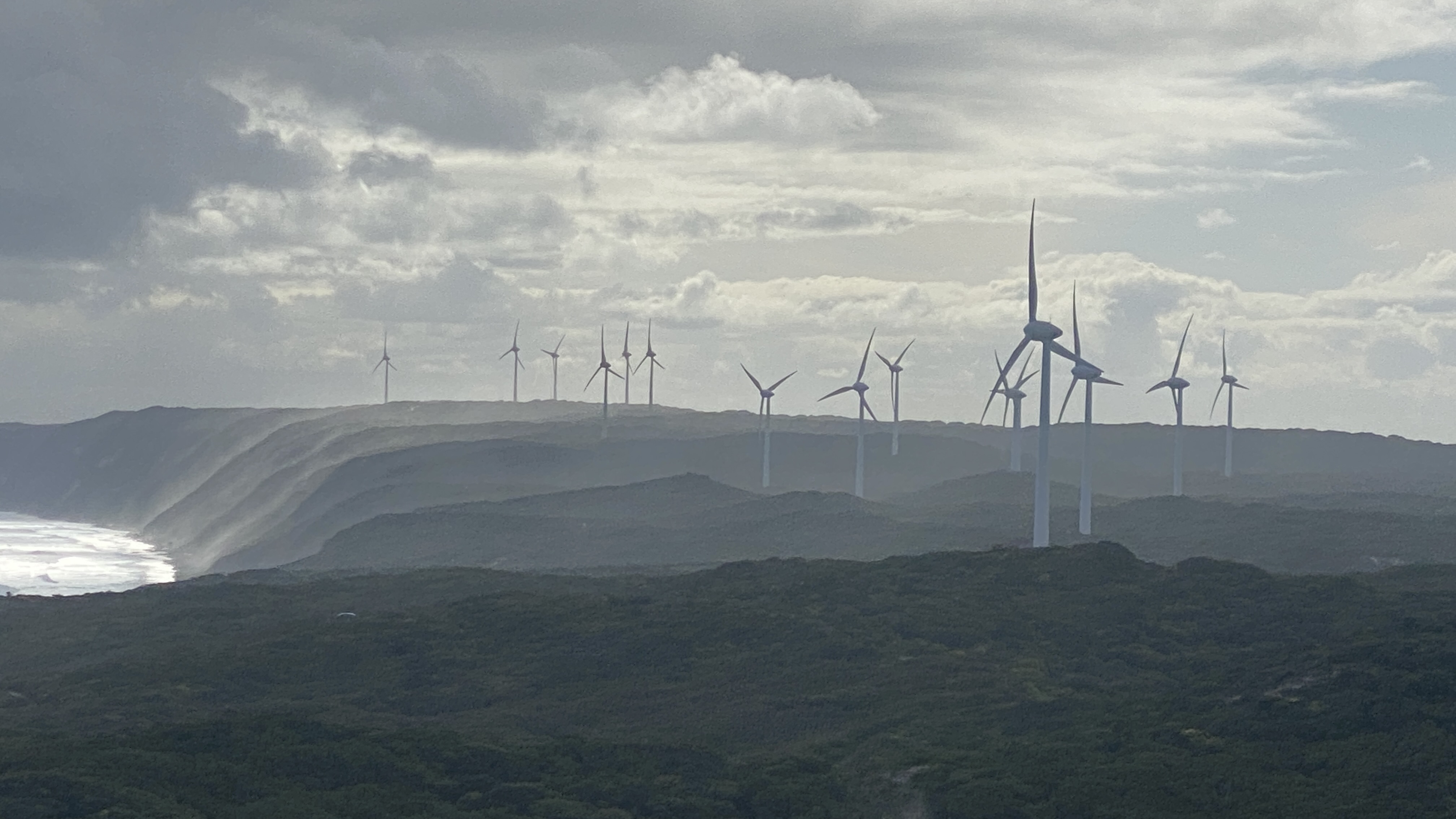 Tristy Fairfield 🚢