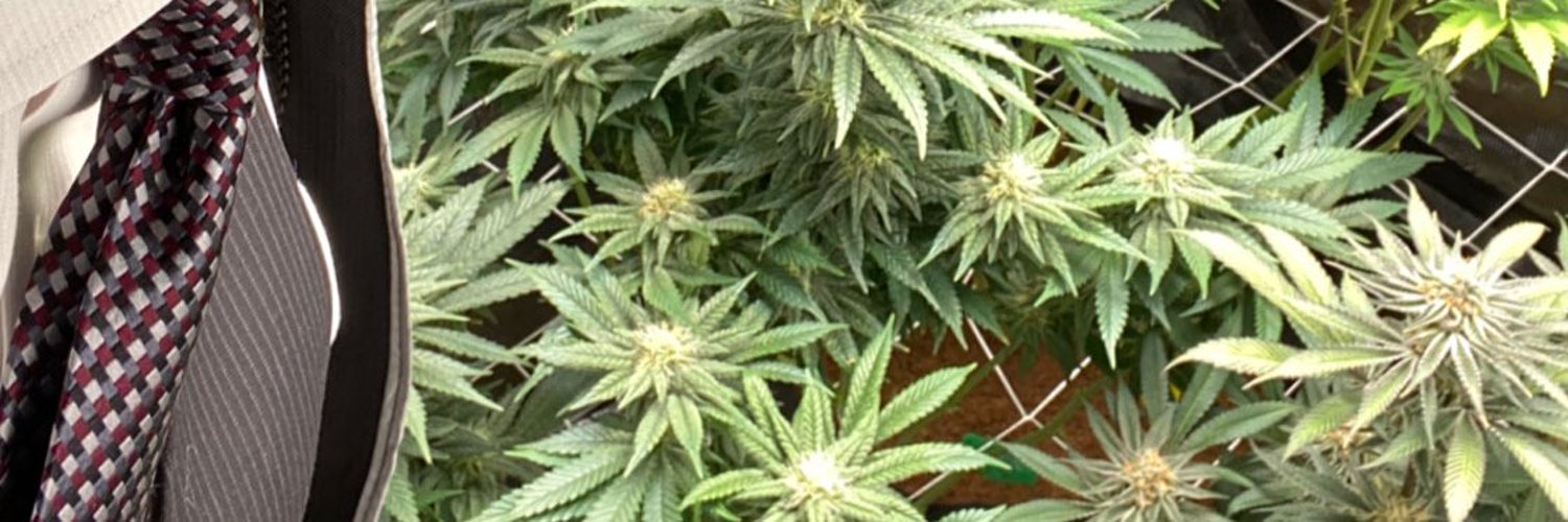 Ben Owens | Hobby Grower