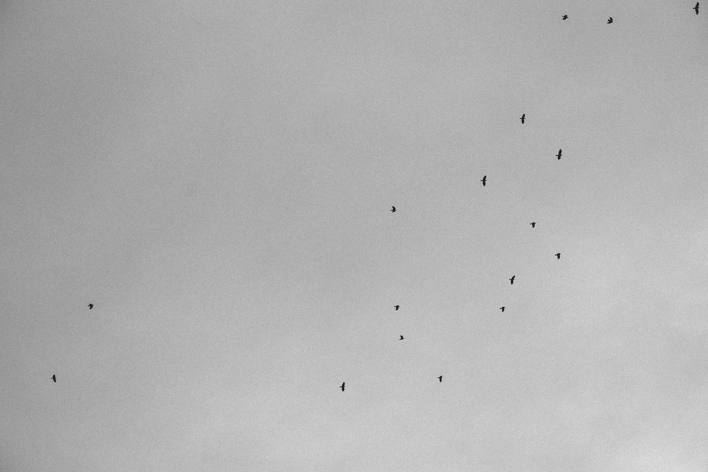 Raquel Smith 🇺🇦🇺🇲