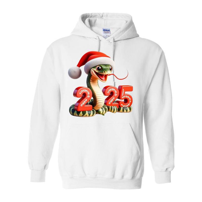 2025 Christmas Hoodie