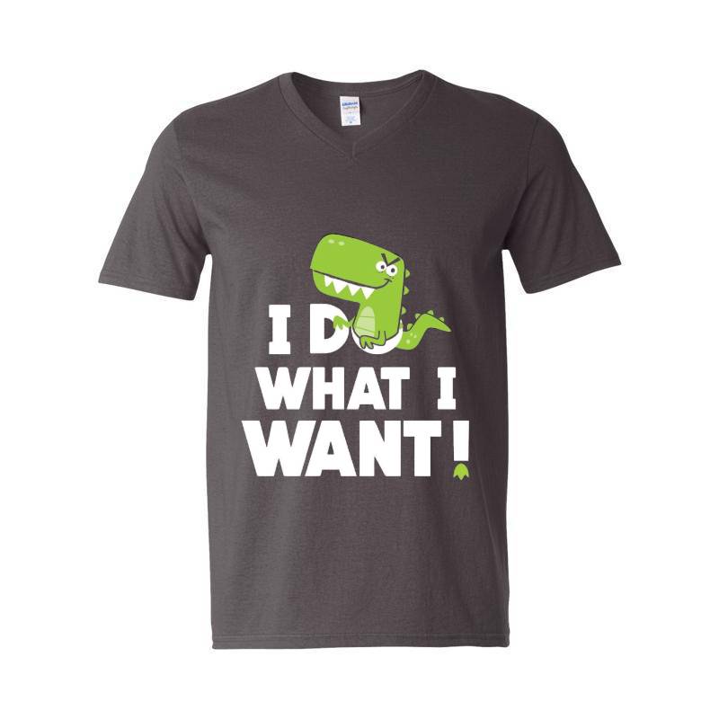 I Do What I Want V-Neck T-Shirt