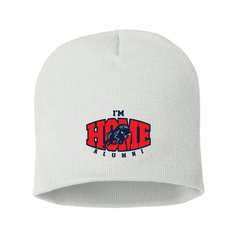 Alumni Beanie