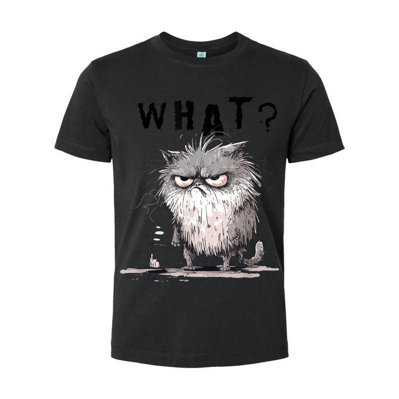 Funny Cat Coffee Sarcastic Meme Frazzled Cat Debie T-Shirt 