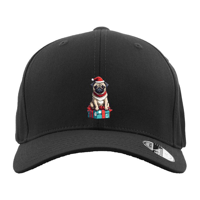 Christmas Dog Hat