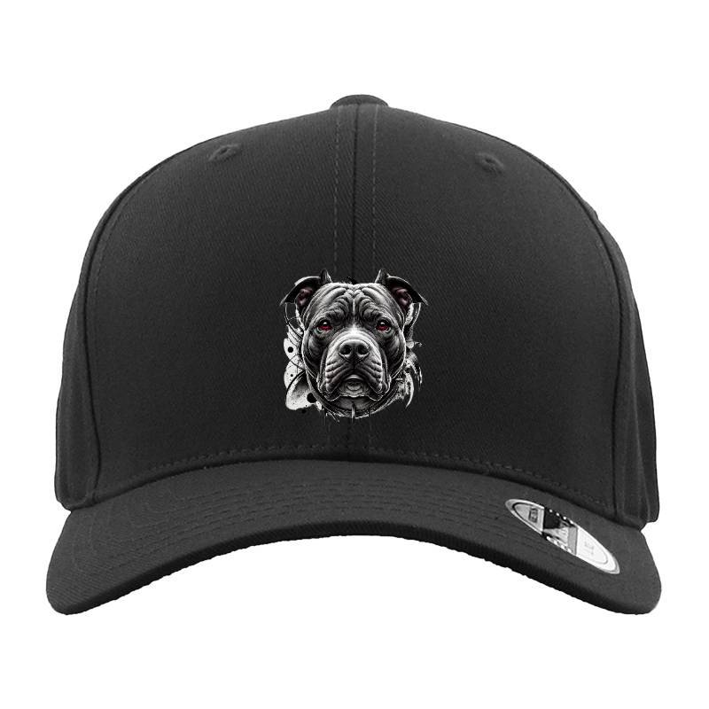 My Pitbull Hat